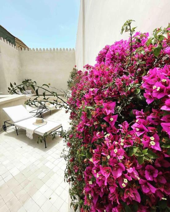 Riad Vivre - Design Boutique Riad In Marrakech Marrakesz Zewnętrze zdjęcie