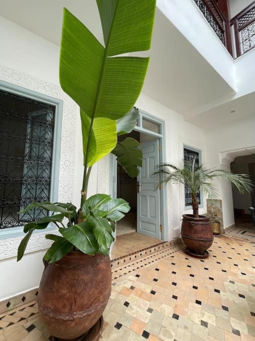 Riad Vivre - Design Boutique Riad In Marrakech Marrakesz Zewnętrze zdjęcie